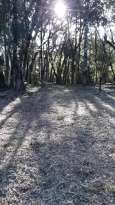 Lote/Terreno à venda, 643m² no , Canela