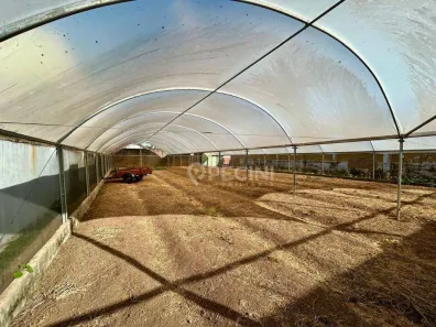 Lote/Terreno para alugar, 604m² no Saúde, Rio Claro