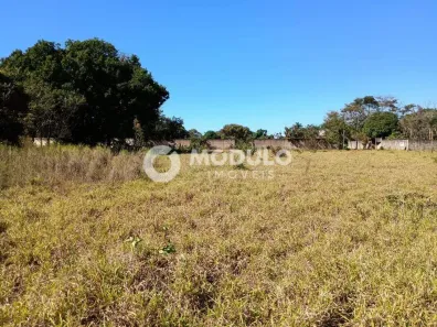 Lote/Terreno à venda, 5000m² no Panorama, Uberlândia