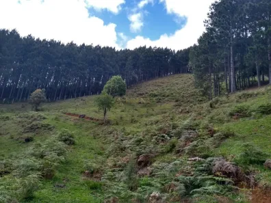 Fazenda/Sítio à venda, 90000m² no , Anitápolis