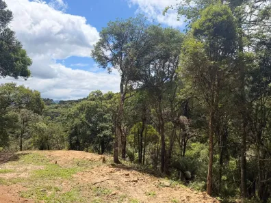 Lote/Terreno à venda, 20000m² no , Urubici
