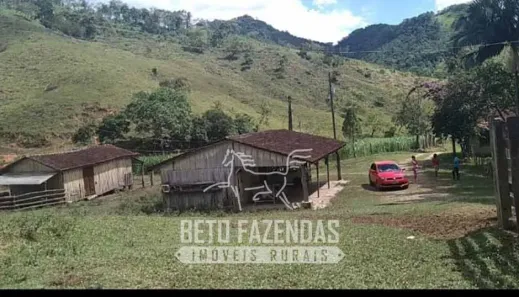 Fazenda/Sítio à venda, 10406000m² no , Barra do Turvo