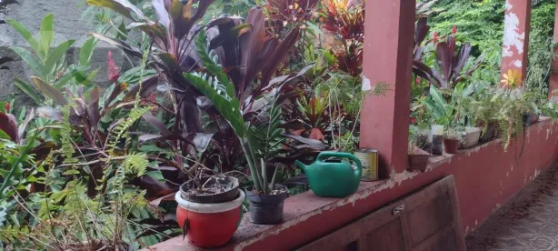 Lote/Terreno à venda, 600m² no Barro Vermelho, São Gonçalo