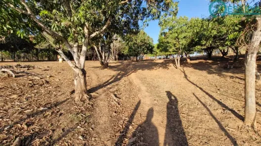 Fazenda/Sítio com 4 Quartos à venda, 180m² no Campinho, Lagoa Santa
