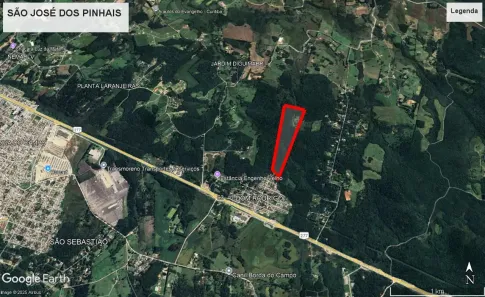 Fazenda/Sítio com 1 Quarto à venda, 216680m² no Dom Rodrigo, São José dos Pinhais