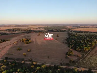 Fazenda/Sítio à venda, 500m² no , Bela Vista de Goiás