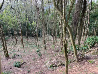 Lote/Terreno à venda, 1250m² no Luiz Fagundes, Mairiporã