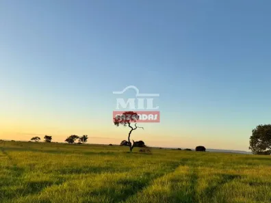 Fazenda/Sítio à venda, 500m² no , Torixoréu