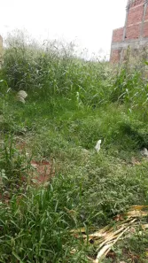 Lote/Terreno à venda, 200m² no Jardim Vera Lucia, Barrinha