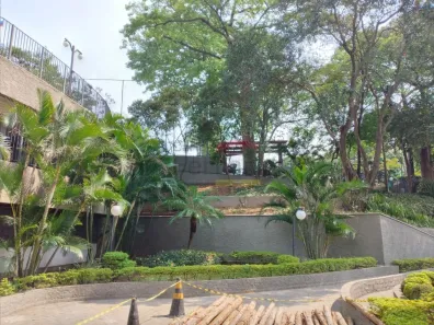 Apartamento com 3 Quartos à venda, 84m² no Vila Albertina, São Paulo