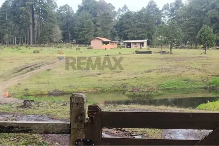 Fazenda/Sítio com 3 Quartos à venda, 120m² no São Luiz do Purunã, Balsa Nova