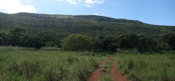 Fazenda/Sítio com 4 Quartos à venda, 140000000m² no , Alvorada do Norte