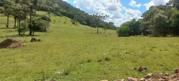 Fazenda/Sítio à venda, 20000m² no , Urubici