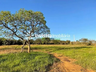 Fazenda/Sítio à venda, 3290000m² no Centro, Miranorte
