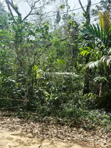 Lote/Terreno à venda, 520m² no Itamambuca, Ubatuba