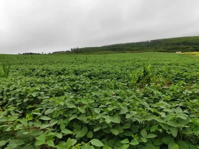 Fazenda/Sítio com 1 Quarto à venda, 96600m² no , Pilar do Sul