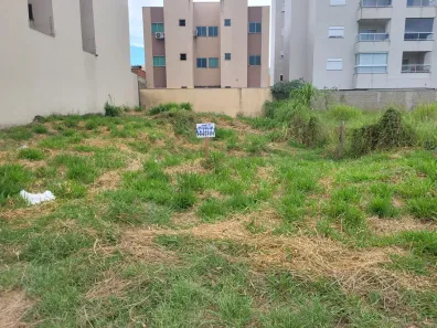Lote/Terreno à venda, 320m² no Guanabara, Pouso Alegre