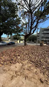 Lote/Terreno para alugar, 200m² no Bangu, Rio de Janeiro