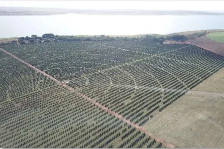 Fazenda/Sítio com 3 Quartos à venda, 150m² no , Cardoso
