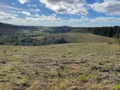 Lote/Terreno à venda, 500m² no Santana, Cotia