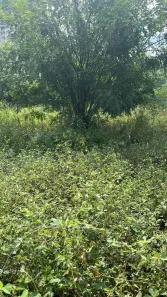 Lote/Terreno à venda, 1750m² no Parque Industrial Lagoinha, Ribeirão Preto