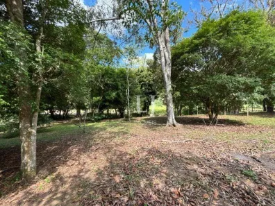 Lote/Terreno à venda, 2501m² no Pedro do Rio, Petrópolis
