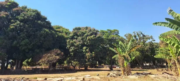 à venda, 8000m² no Amoroso Costa, Uberaba