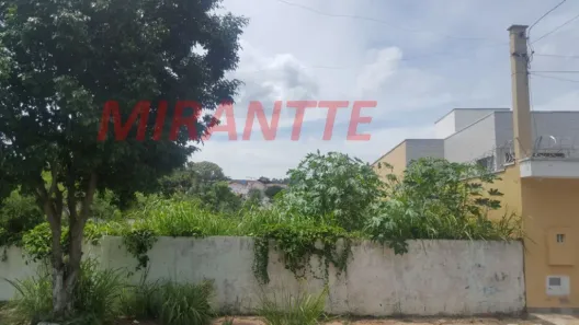 Lote/Terreno à venda, 430m² no Jardim Leonor Mendes de Barros, São Paulo