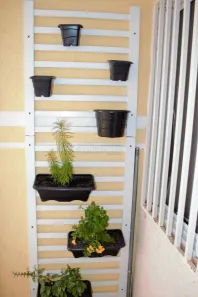 Casa de Condomínio com 2 Quartos à venda, 70m² no Jardim Ipanema, São Carlos