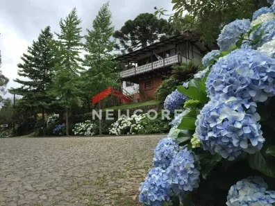 Casa com 3 Quartos à venda, 175m² no Centro, São Francisco de Paula