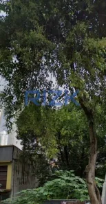 Lote/Terreno à venda, 315m² no Aclimação, São Paulo