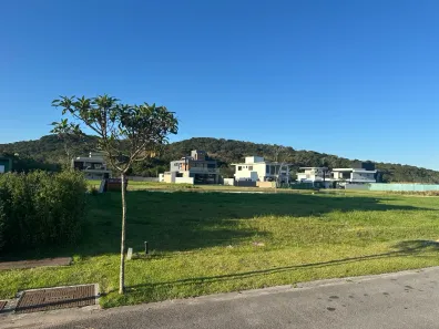 Lote/Terreno à venda, 312m² no Pedra Branca, Palhoça