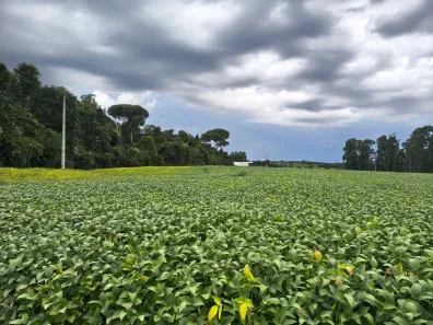 Fazenda/Sítio com 3 Quartos à venda, 50m² no , Piracanjuba