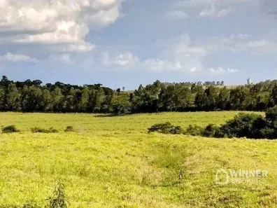 Fazenda/Sítio à venda, 20000m² no Distrito Industrial (Sumaré), Paranavaí