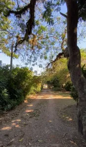 Lote/Terreno à venda, 2086m² no Tapera da Base, Florianópolis