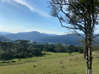 Fazenda/Sítio à venda, 20000m² no , Urubici