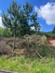 Lote/Terreno à venda, 394m² no Monte Bérico, Caxias do Sul