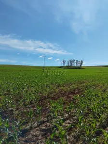 Lote/Terreno à venda, 253m² no , Ibiporã