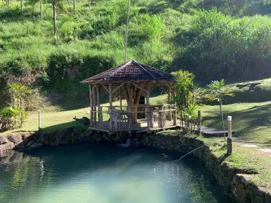 Fazenda/Sítio com 3 Quartos à venda, 300m² no Vila Nova, Águas Mornas