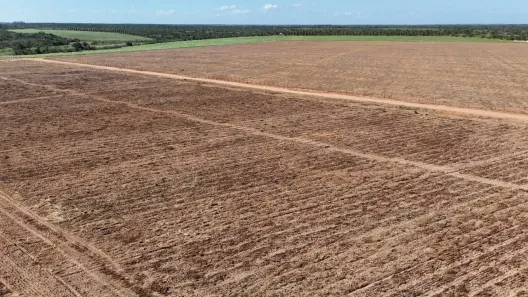 Fazenda/Sítio com 2 Quartos à venda, 470000m² no , São José de Mipibu