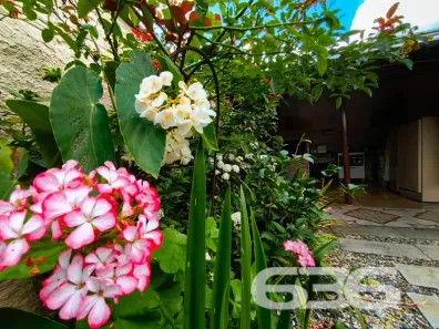 Casa com 3 Quartos à venda, 180m² no Petrópolis, Joinville
