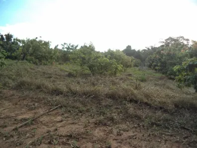 Fazenda/Sítio com 1 Quarto à venda, 21340m² no Aglomeração Urbana de Jundiaí, Louveira