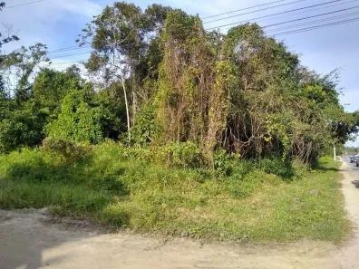 Lote/Terreno à venda, 995m² no Jardim Coronel, Itanhaém