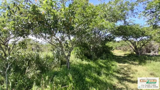 Lote/Terreno à venda, 252m² no Estancia Sao José, Peruíbe