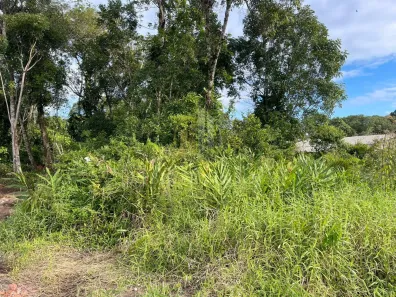 Lote/Terreno à venda, 360m² no Guaratuba, Guaratuba