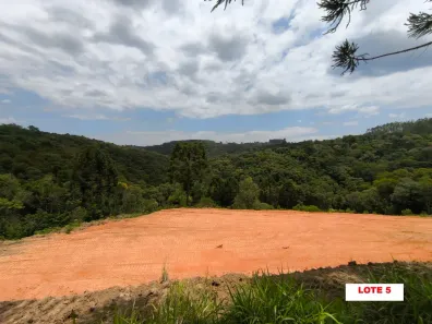 Fazenda/Sítio à venda, 20000m² no , Campo Largo