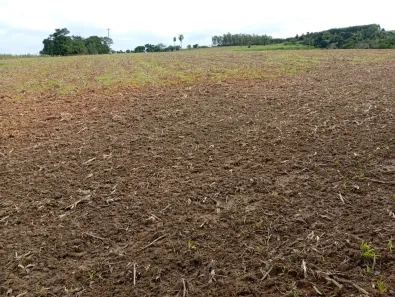 Fazenda/Sítio com 1 Quarto à venda, 72600m² no Área Rural de Tatuí, Tatuí