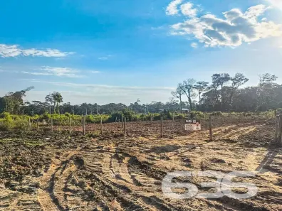 Lote/Terreno à venda, 360m² no Salinas, Balneário Barra do Sul
