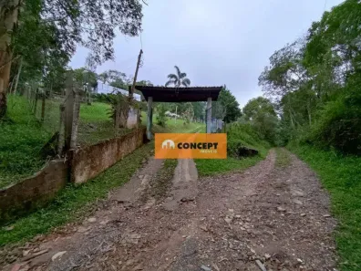 Fazenda/Sítio com 4 Quartos à venda, 9000m² no Estância Piratininga, Suzano