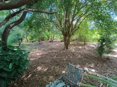 à venda, 3000m² no Lopes de Oliveira, Sorocaba